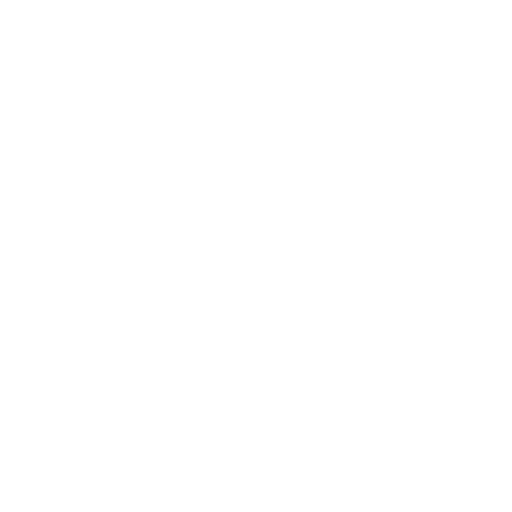 webstite development